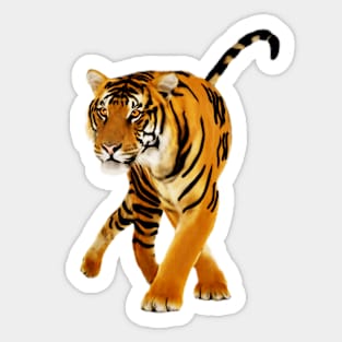 Tiger Walking Sticker